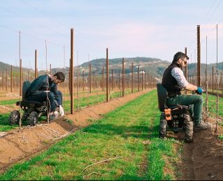 schiena-dritta copia.jpg